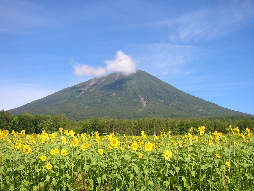 Country Resort Niseko, Hirafu, Niseko — 3