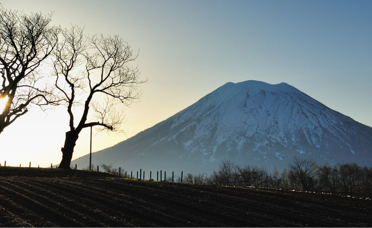 JL HOUSE Kutchan, Kutchan, Niseko — View from the property