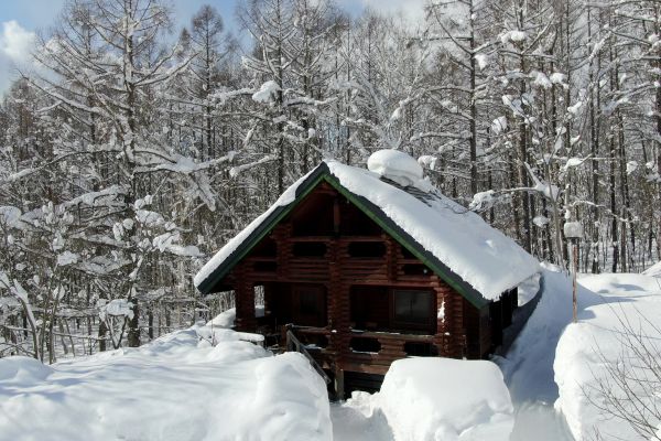 Moiwa Lodge, Annupuri, Niseko — Cottage1