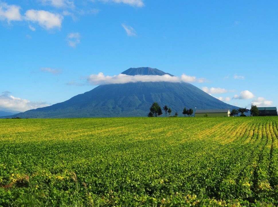 Miru Niseko, Hirafu, Niseko — Mount Yotei view