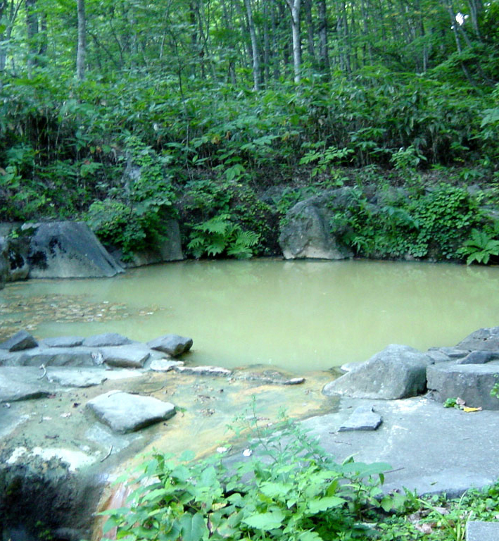 Pension Cotton Farm, Annupuri, Niseko — Onsen bath