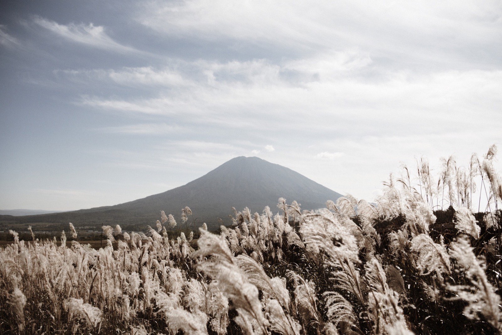 Setsu Niseko, Hirafu, Niseko — Mount Yotei view